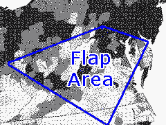 Flap Area